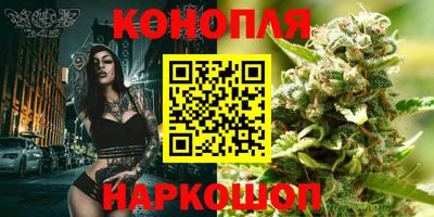 дживик Можга