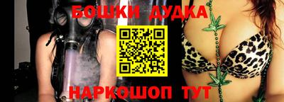 дживик Можга