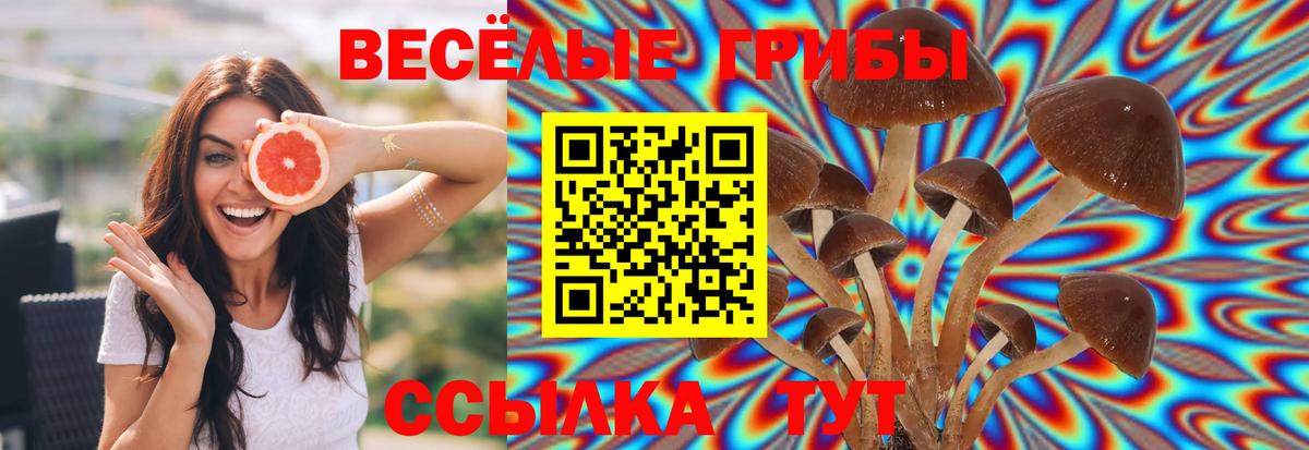 Будённовск  Галлюциногенные грибы мицелий  Вход с VPN 